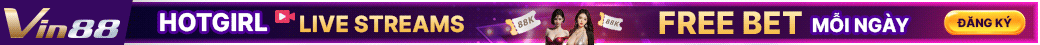 vin88-banner2